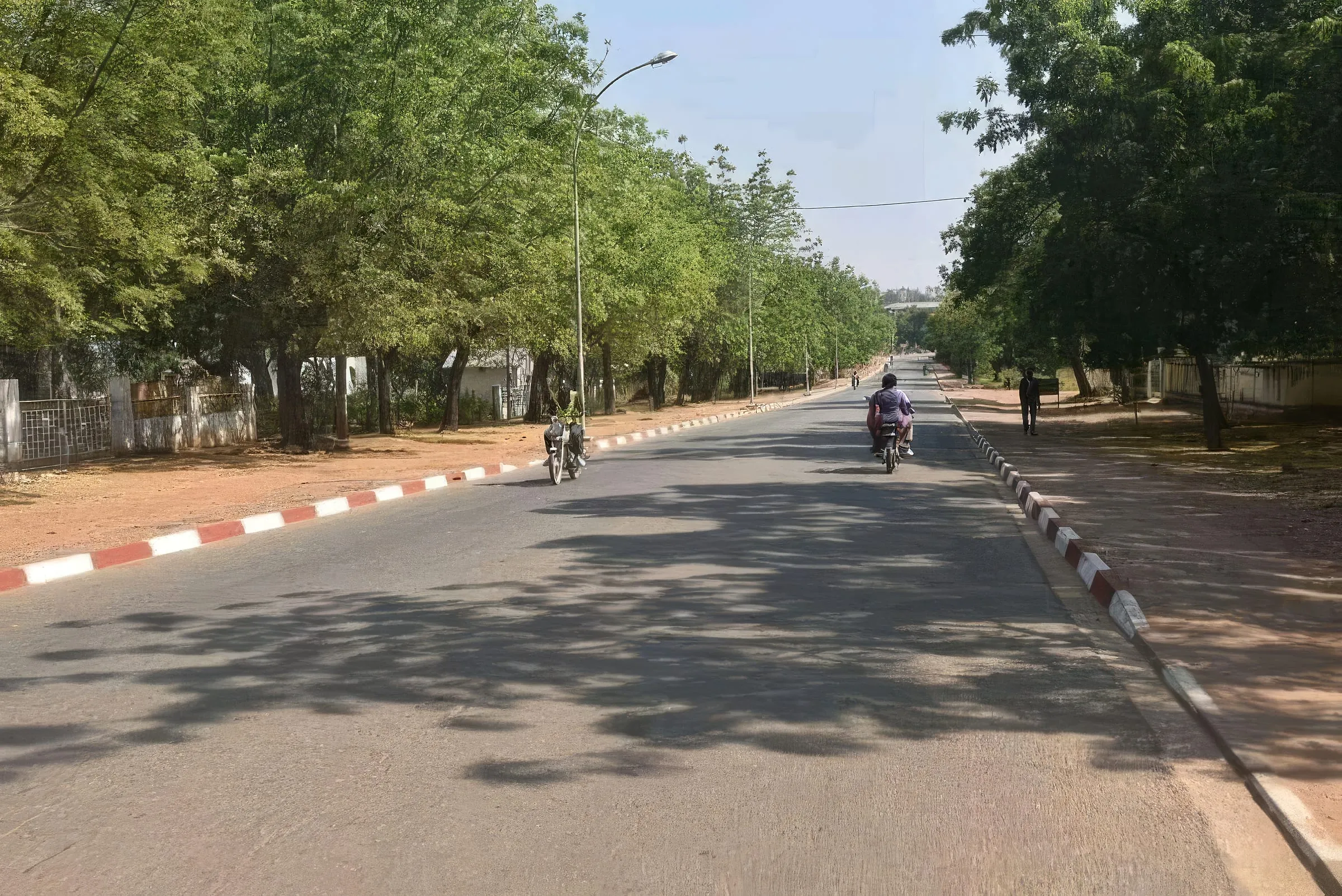Avenue ombragée du quartier Plateau, Garoua